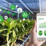 IoT applications for eco-friendly environment and sustainable living 
